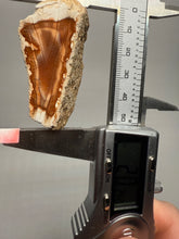 Load image into Gallery viewer, High-Grade Indonesian Sumatra Agate Pair – Vibrant Banded Chalcedony with Rich Color Zoning | Ethical Lapidary & Collector Display Specimens