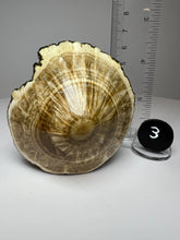 Load image into Gallery viewer, BARITE, MARCASITE Polished Free Form • Lubin Mine, KGHM, Lubin District, Legnica, Lower Silesial, Poland