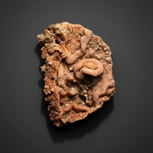 Load image into Gallery viewer, Chalcedony Quartz Rose Agate Collector Mineral Specimen – Morocco