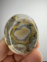 Load image into Gallery viewer, Cobra Jasper Palm Stone from India • High Grade