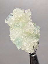 Load image into Gallery viewer, Luminous Mint Apophyllite with Glittering Druzy Sugar Quartz – India