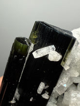 Load image into Gallery viewer, Blue Cap Dark Green Stak Nala Tourmaline on Cleavelandite Matrix – Haramosh Mountains, Pakistan