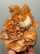 Load image into Gallery viewer, Chalcedony Quartz Rose Agate Collector Mineral Specimen – Morocco