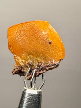 Load image into Gallery viewer, High-Grade Orange Wulfenite Collector Display Specimen | La Morita Mine, Chihuahua, Mexico