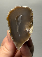 Load image into Gallery viewer, Natural Laguna Agate Collector Mineral Specimen | Chihuahua, Mexico