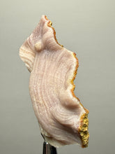 Load image into Gallery viewer, “Goblin Chalcedony” Pink & Orange Druzy Botryoidal Stalactites— Tichka Massif, High Atlas, Morocco