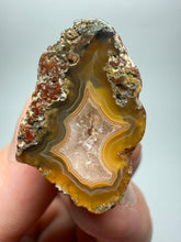 Load image into Gallery viewer, Lot of 9 Small Malawi Agate Halves – Polished Rare Colorful Collector Specimens