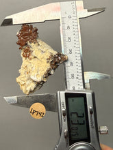 Load image into Gallery viewer, Natural Vanadinite on Matrix | Collector Mineral Specimen | Morocco