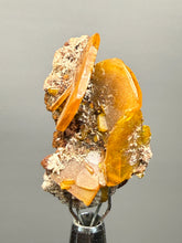 Load image into Gallery viewer, High-Grade Orange Wulfenite Collector Display Specimen | La Morita Mine, Chihuahua, Mexico