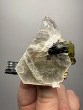 Load image into Gallery viewer, Blue Cap & Green Cap Dark Green Stak Nala Tourmaline on Cleavelandite Matrix – Haramosh Mountains, Pakistan
