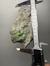 Load image into Gallery viewer, High-Grade Green Wavellite Collectors Specimen - Radiating Botryoidal Crystal Formation - Arkansas, USA