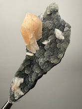 Load image into Gallery viewer, Pink Stilbite Druzy on Botryoidal Black Chalcedony | India | High-Grade Mineral Collector Specimen