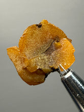 Load image into Gallery viewer, High-Grade Orange Wulfenite Collector Display Specimen | La Morita Mine, Chihuahua, Mexico