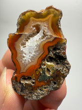 Load image into Gallery viewer, Lot of 9 Small Malawi Agate Halves – Polished Rare Colorful Collector Specimens