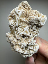 Load image into Gallery viewer, Desert Rose Selenite (Gypsum) — Mineral Display Specimen | Mexico