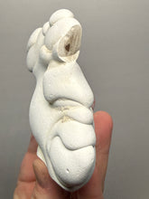 Load image into Gallery viewer, Chichaoua Menalite “Fairy Stone” Concretion | Natural Collector Display Specimen | Morocco