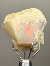 Load image into Gallery viewer, Precious Opal with Color Play | Welo, Ethiopia