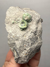 Load image into Gallery viewer, High-Grade Green Wavellite Collectors Specimen - Radiating Botryoidal Crystal Formation - Arkansas, USA