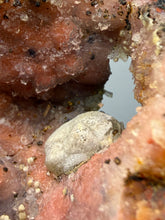 Load image into Gallery viewer, “Goblin Chalcedony” Pink & Orange Druzy Botryoidal Stalactites — Tichka Massif, High Atlas, Morocco