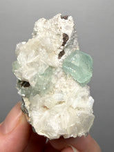 Load image into Gallery viewer, High-Grade Gemmy Green Apophyllite on White Stilbite | Deccan Traps, Maharashtra, India