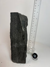Load image into Gallery viewer, Black Druzy Petrified Wood from Indonesia
