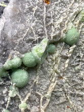 Load image into Gallery viewer, High-Grade Green Wavellite Collectors Specimen - Radiating Botryoidal Crystal Formation - Arkansas, USA