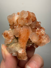 Load image into Gallery viewer, Rare Red Druzy Apophyllite with Red Stilbite Cluster | India | Collector Mineral Specimen