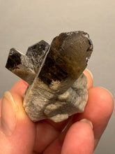 Load image into Gallery viewer, Smoky Quartz Crystal Specimen | Natural Collector Mineral – Brazil