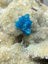 Load image into Gallery viewer, Rare Electric Blue Cavansite on Druzy Matrix – Collector Mineral Specimen | India