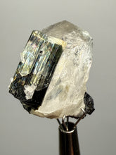 Load image into Gallery viewer, Dark Green Cap Stak Nala Tourmaline and Cleavelandite on Quartz – Haramosh Mountains, Pakistan | Thumbnail Specimen