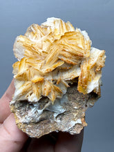 Load image into Gallery viewer, Natural Vanadinite on Matrix | Collector Mineral Specimen | Morocco