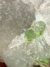 Load image into Gallery viewer, Vibrant Green Tourmaline on Quartz Crystal | Pegmatite Mineral Specimen from Pakistan