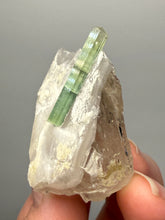 Load image into Gallery viewer, Lime Green Tourmaline on Matrix– Pegmatite Mineral Specimen from Pakistan