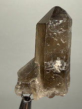 Load image into Gallery viewer, Smoky Quartz Crystal Specimen | Natural Collector Mineral – Brazil