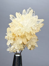 Load image into Gallery viewer, 1.4” High-Grade Flower Calcite Specimen | Wenshan Mine, Yunnan, China | Collector Mineral Display