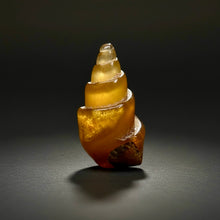 Load image into Gallery viewer, Agatized Gastropod Fossil Specimen | Morocco