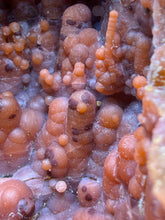 Load image into Gallery viewer, “Goblin Chalcedony” Pink & Orange Druzy Botryoidal Stalactites — Tichka Massif, High Atlas, Morocco