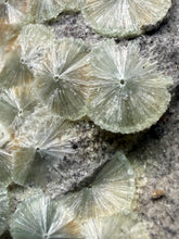Load image into Gallery viewer, High-Grade Green Wavellite Collectors Specimen - Radiating Botryoidal Crystal Formation - Arkansas, USA