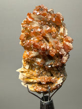 Load image into Gallery viewer, Natural Vanadinite on Matrix | Collector Mineral Specimen | Morocco