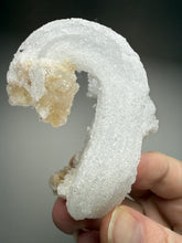 Load image into Gallery viewer, Moroccan Ram’s Horn Selenite (Gypsum) Crystal Display Specimen