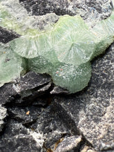 Load image into Gallery viewer, High-Grade Green Wavellite Collectors Specimen - Radiating Botryoidal Crystal Formation - Arkansas, USA