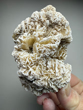 Load image into Gallery viewer, Desert Rose Selenite (Gypsum) — Mineral Display Specimen | Mexico
