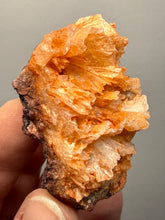 Load image into Gallery viewer, Chalcedony Quartz Rose Agate Collector Mineral Specimen – Morocco