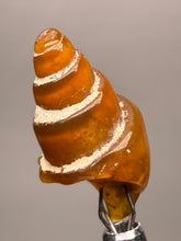 Load image into Gallery viewer, Agatized Gastropod Fossil Specimen | Morocco