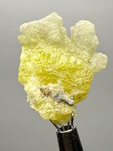 Load image into Gallery viewer, Vibrant Yellow Brucite Thumbnail Mineral Specimen | Collector Crystal from Killa Saifullah District in Balochistan Province, Pakistan