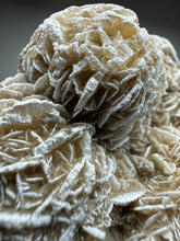 Load image into Gallery viewer, Desert Rose Selenite (Gypsum) — Mineral Display Specimen | Mexico