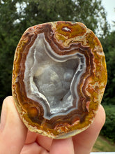 Load image into Gallery viewer, High-Grade Turkish Agate with Botryoidal Chalcedony Vug – Rare Collector’s Gem