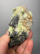 Load image into Gallery viewer, High-Grade Green Wavellite Collectors Specimen - Radiating Botryoidal Crystal Formation - Arkansas, USA