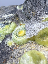 Load image into Gallery viewer, High-Grade Green Wavellite Collectors Specimen - Radiating Botryoidal Crystal Formation - Arkansas, USA