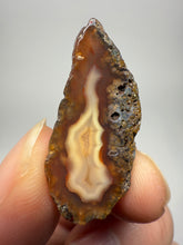 Load image into Gallery viewer, Polished Malawi Agate Half – African Banded Agate Display Specimen